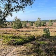 23-09-10 16-00-11 6635